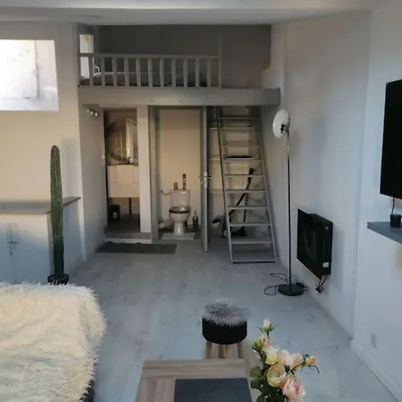 Loft Cosy Centre Historique-ecusson *